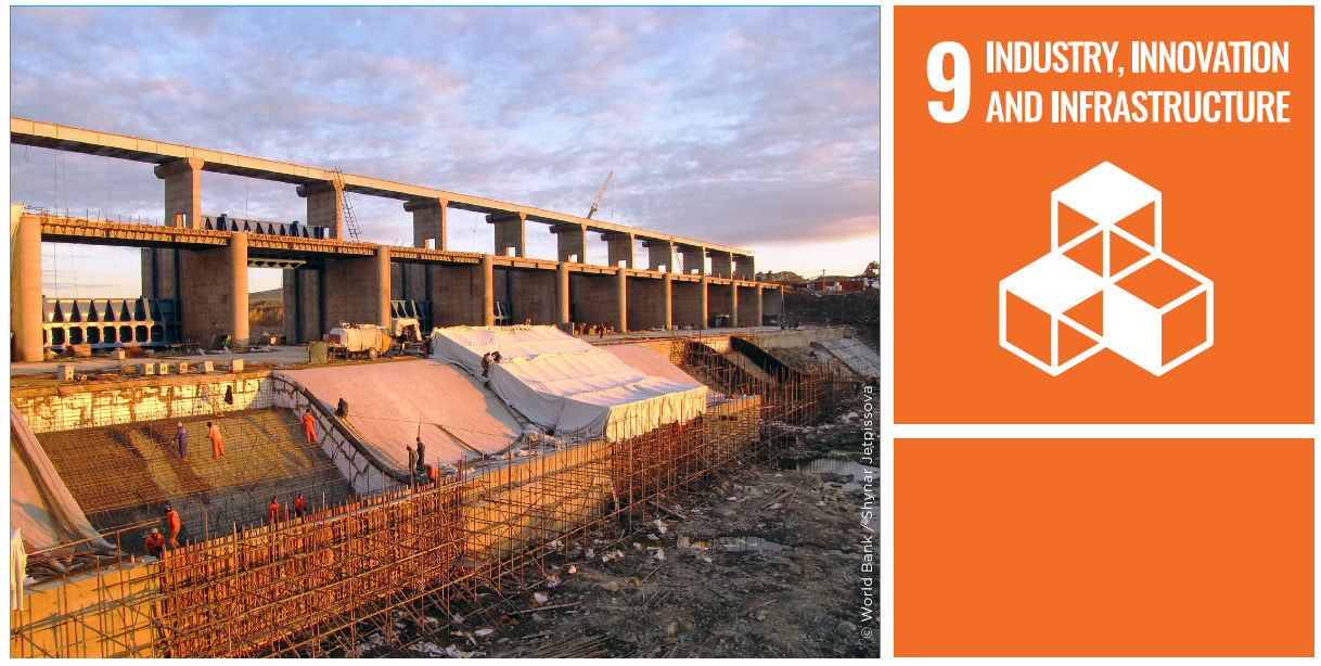 image of the 9 goals